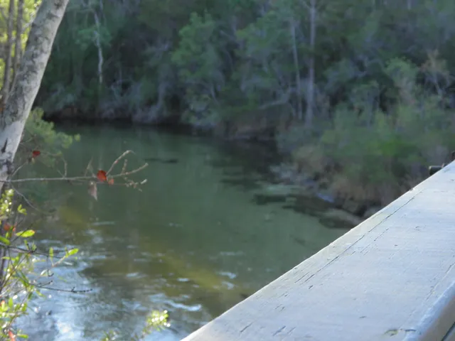 $325,000 | 127 Big Oaks Lane, Niceville, FL 32578