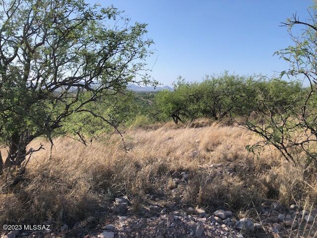 1015 Camarosa Court, Unit 12 Rio Rico, AZ 85648 - Photo 2 of 3 a view of a yard with a tree