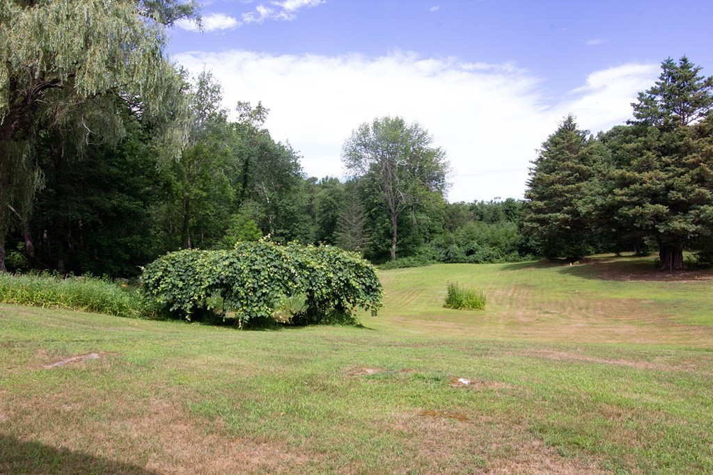 923 General Knox Road Russell, MA 01071 - Photo 8 of 15 Gallery Image 8