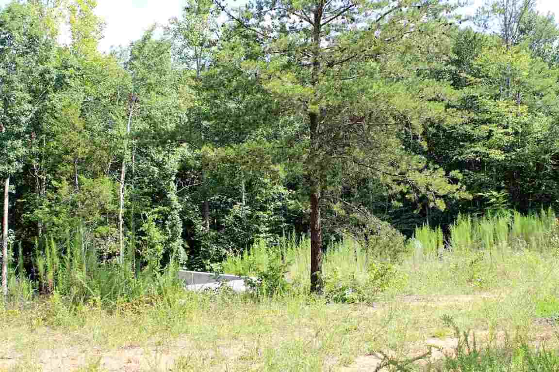 221 Ballard Road Honea Path, SC 29654 - Photo 6 of 8