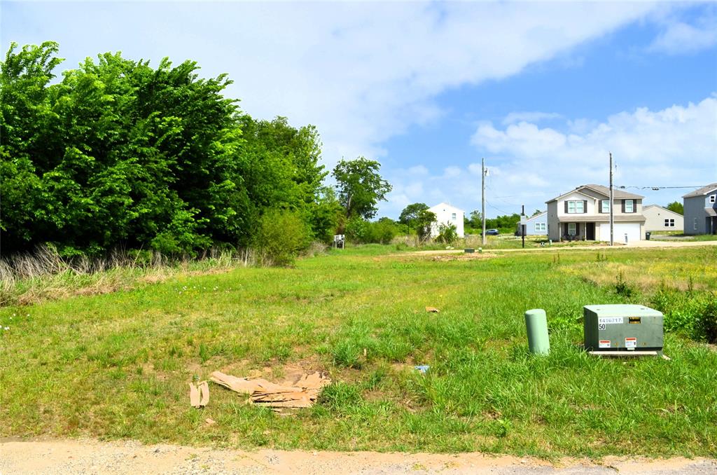 314 Rike Road Mabank, TX 75147 - Photo 2 of 6 a view of a golf course with a fountain