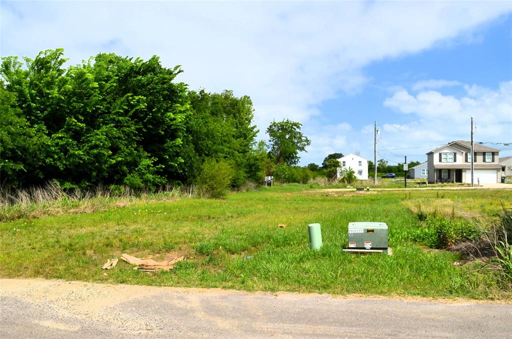 314 Rike Road Mabank, TX 75147 - Photo 3 of 6 a view of a garden with plants