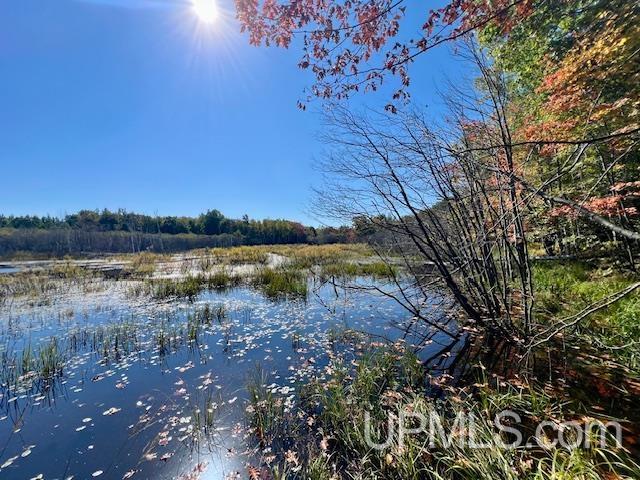 25307 Dover Road Calumet, MI 49913 - Photo 13 of 47
