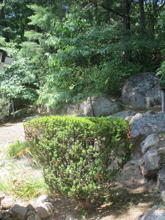 37 Rockway Road Peabody, MA 01960 - Photo 17 of 17 Gallery Image 17