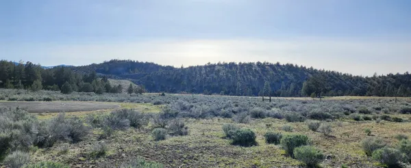 $8,000 | Lot 30 Silver Spur, Weed, CA 96094