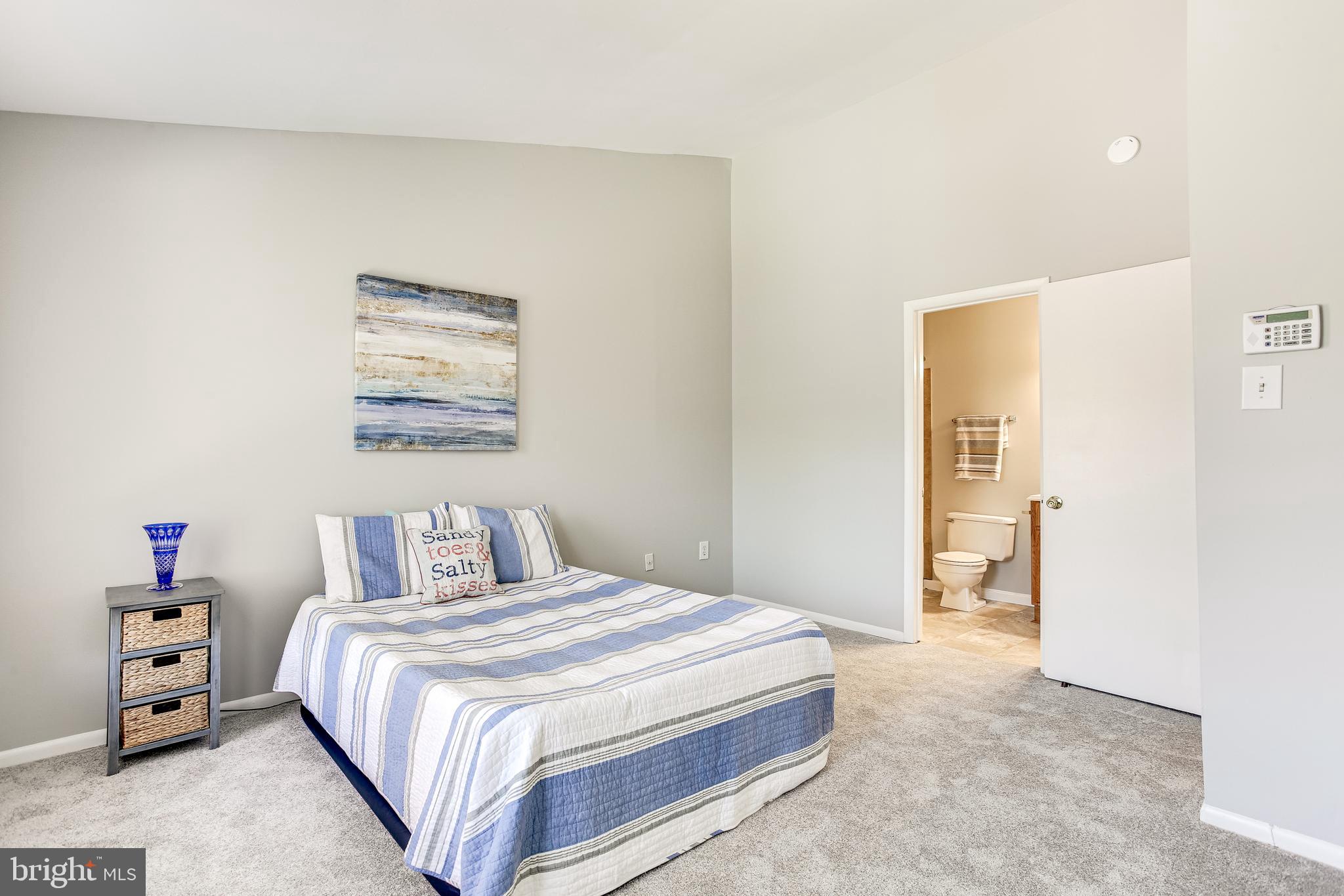 9466 Clocktower Lane Columbia, MD 21046 - Photo 9 of 44 Vaulted Ceiling, new carpet & fresh paint