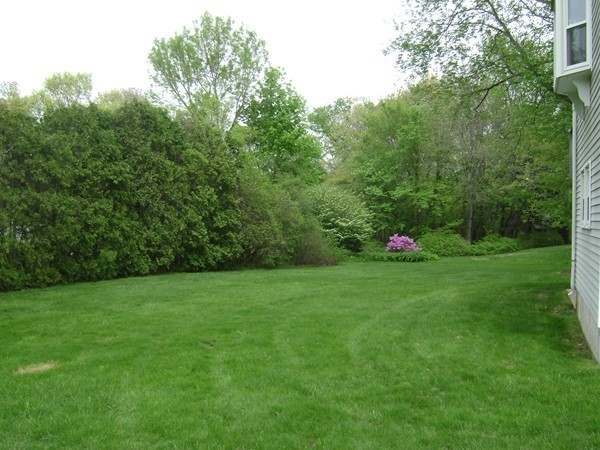 15 Burning Tree Road Natick, MA 01760 - Photo 10 of 30 Gallery Image 10