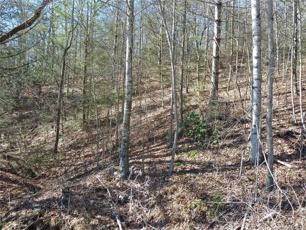 40 Shoal Creek Road, Unit 404142 Balsam Grove, NC 28708 - Photo 1 of 28 Gallery Image 1