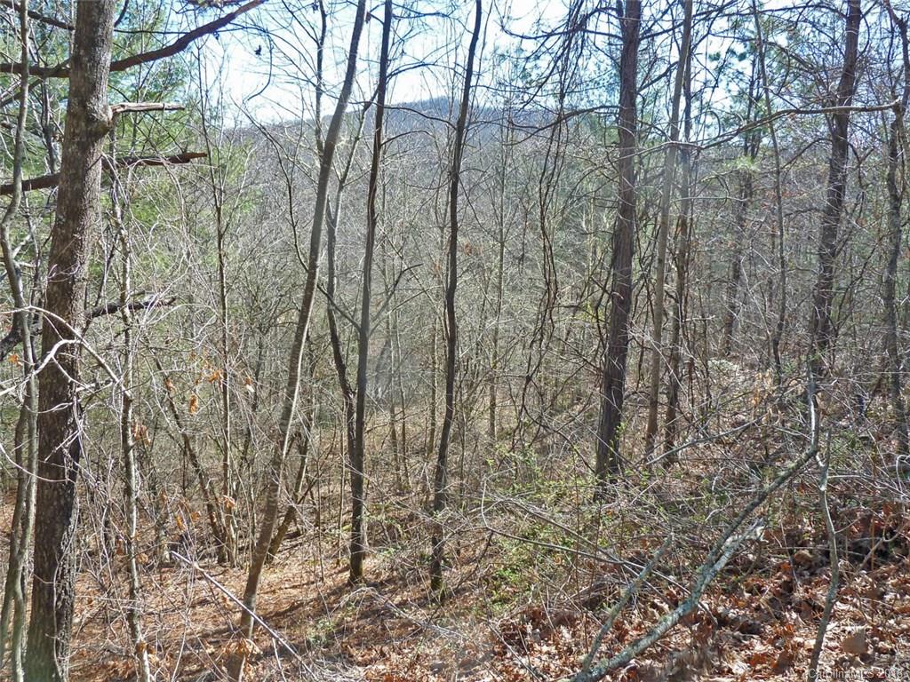40 Shoal Creek Road, Unit 404142 Balsam Grove, NC 28708 - Photo 2 of 28 Gallery Image 2