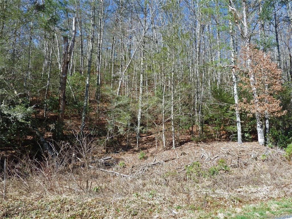 40 Shoal Creek Road, Unit 404142 Balsam Grove, NC 28708 - Photo 11 of 28 Gallery Image 11