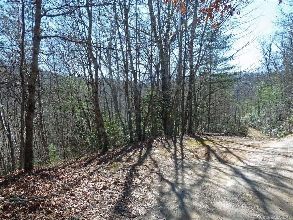 40 Shoal Creek Road, Unit 404142 Balsam Grove, NC 28708 - Photo 15 of 28 Gallery Image 15
