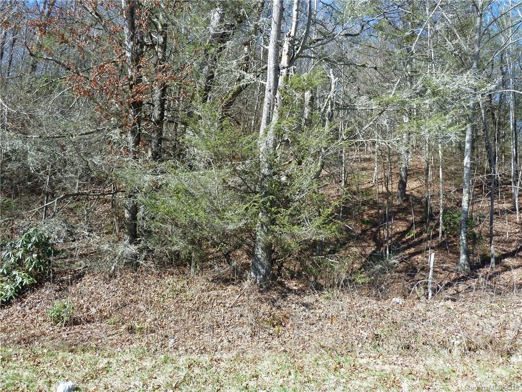 40 Shoal Creek Road, Unit 404142 Balsam Grove, NC 28708 - Photo 17 of 28 Gallery Image 17