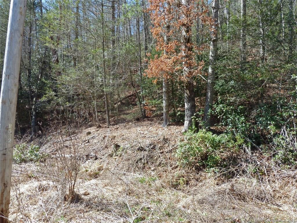 40 Shoal Creek Road, Unit 404142 Balsam Grove, NC 28708 - Photo 21 of 28 Gallery Image 21