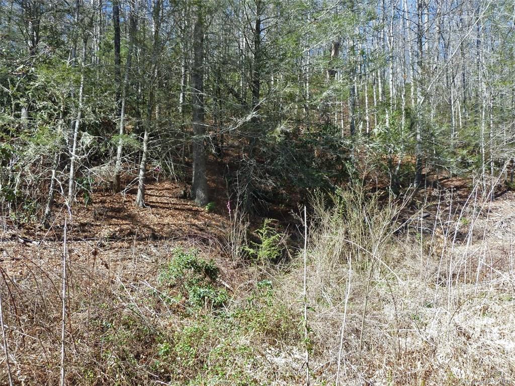 40 Shoal Creek Road, Unit 404142 Balsam Grove, NC 28708 - Photo 22 of 28 Gallery Image 22