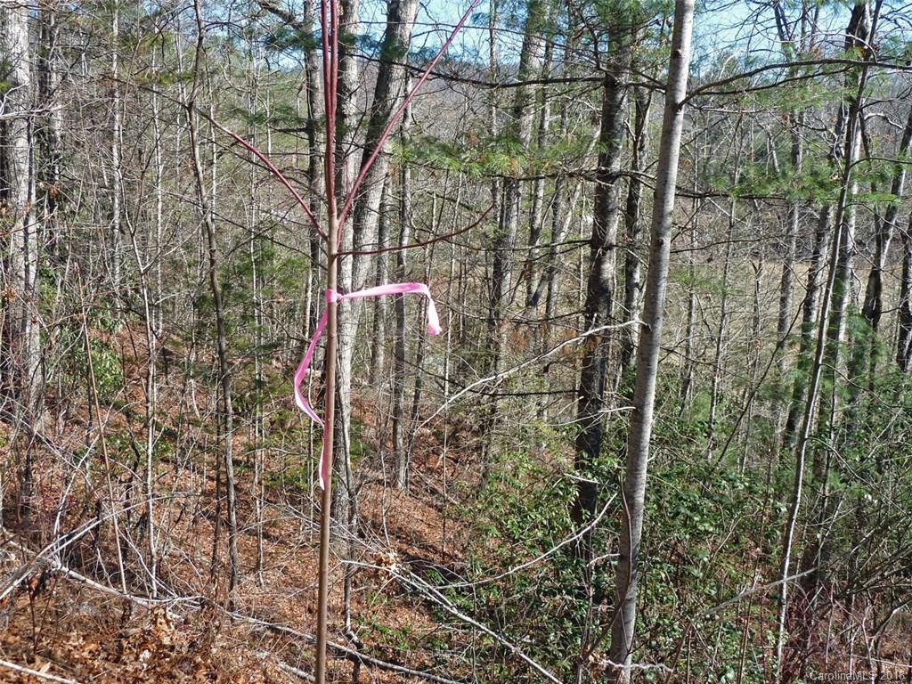 40 Shoal Creek Road, Unit 404142 Balsam Grove, NC 28708 - Photo 23 of 28 Gallery Image 23