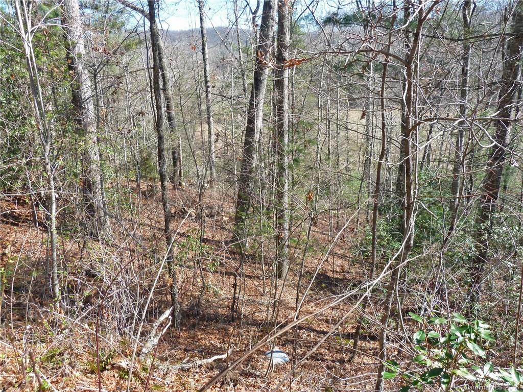 40 Shoal Creek Road, Unit 404142 Balsam Grove, NC 28708 - Photo 24 of 28 Gallery Image 24