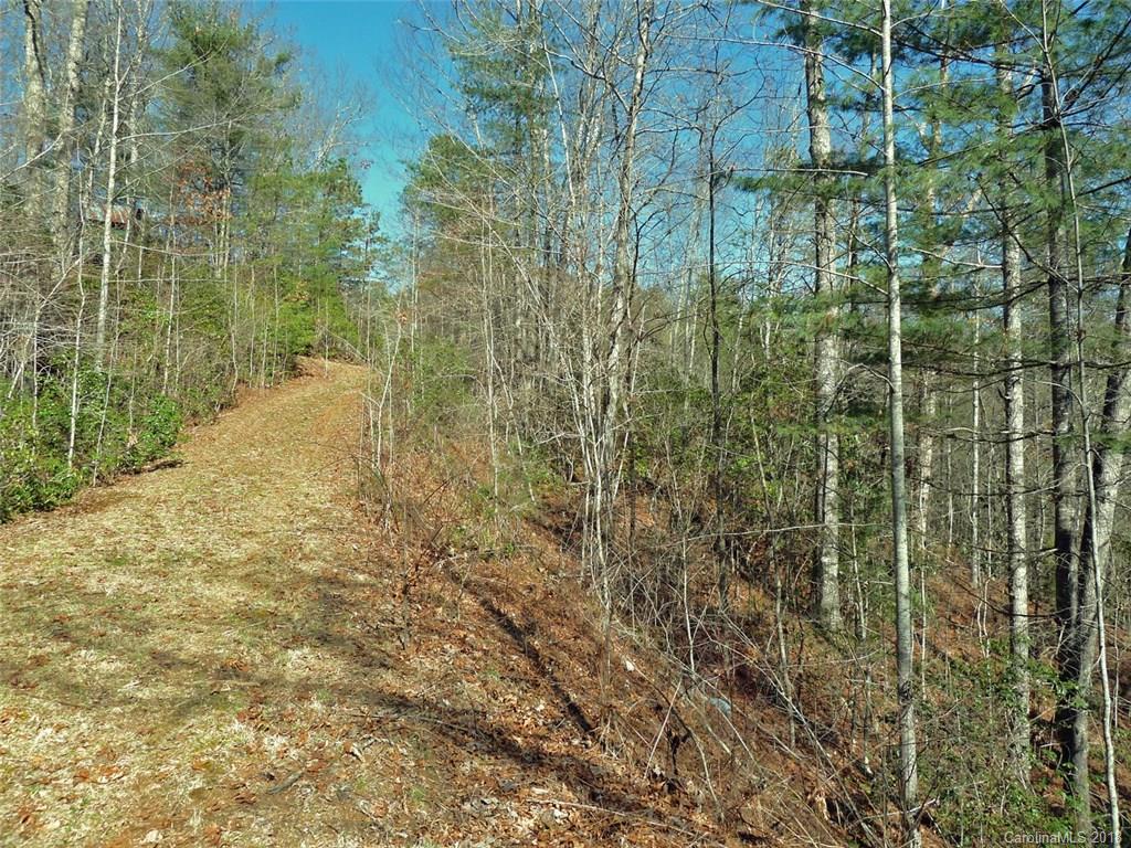 40 Shoal Creek Road, Unit 404142 Balsam Grove, NC 28708 - Photo 25 of 28 Gallery Image 25