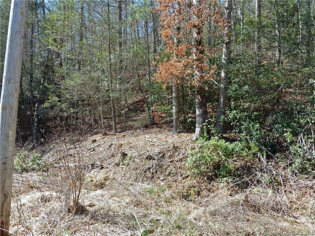 40 Shoal Creek Road, Unit 404142 Balsam Grove, NC 28708 - Photo 26 of 28 Gallery Image 26