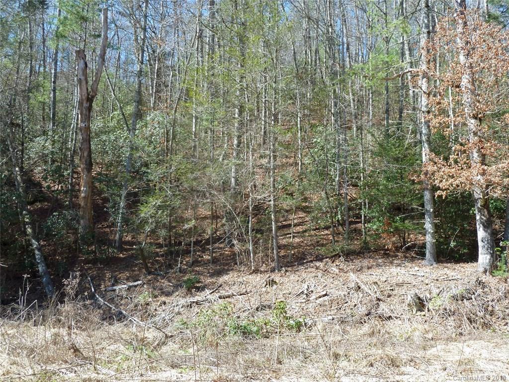 40 Shoal Creek Road, Unit 404142 Balsam Grove, NC 28708 - Photo 27 of 28 Gallery Image 27