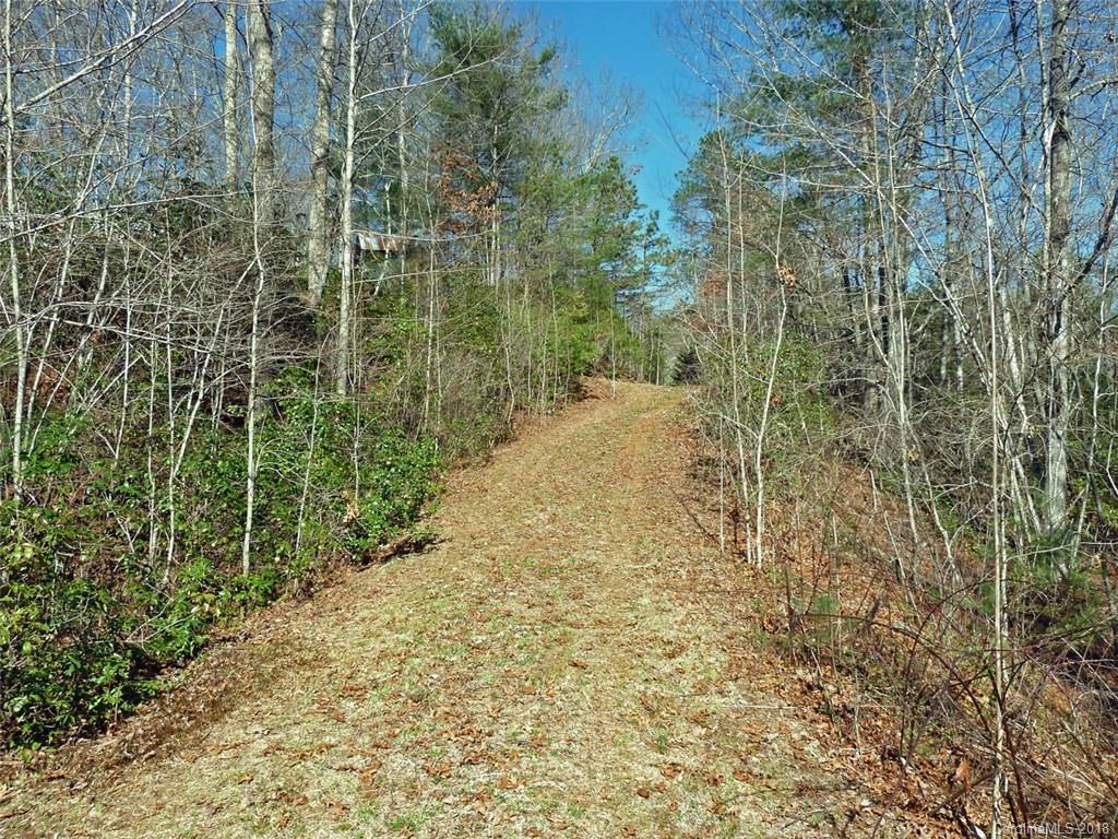 40 Shoal Creek Road, Unit 404142 Balsam Grove, NC 28708 - Photo 4 of 28 Gallery Image 4