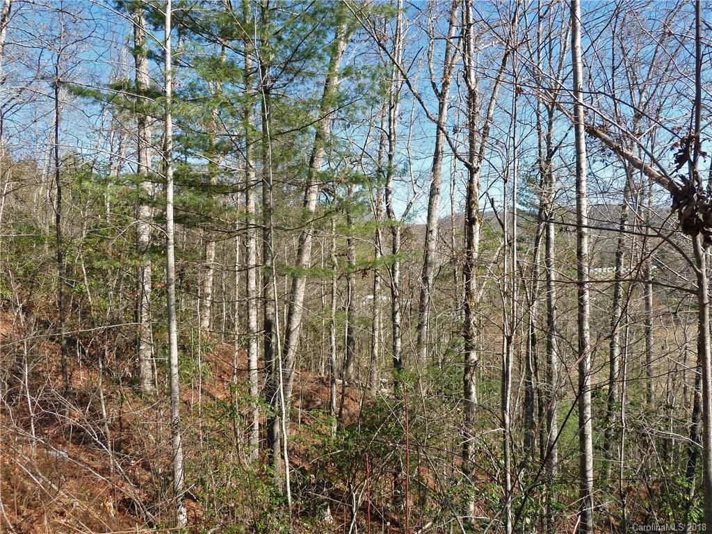40 Shoal Creek Road, Unit 404142 Balsam Grove, NC 28708 - Photo 5 of 28 Gallery Image 5