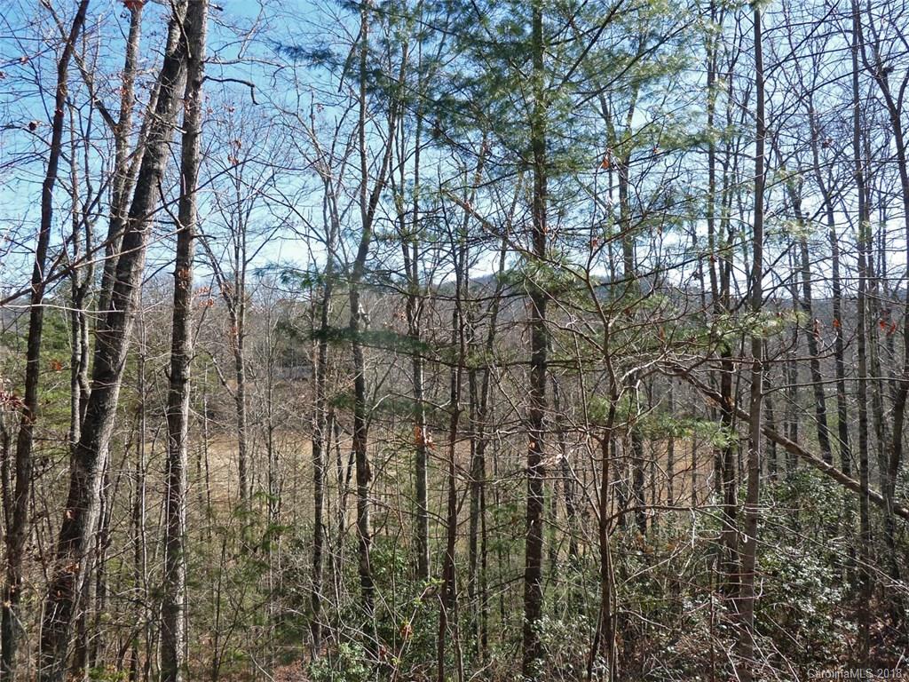 40 Shoal Creek Road, Unit 404142 Balsam Grove, NC 28708 - Photo 6 of 28 Gallery Image 6