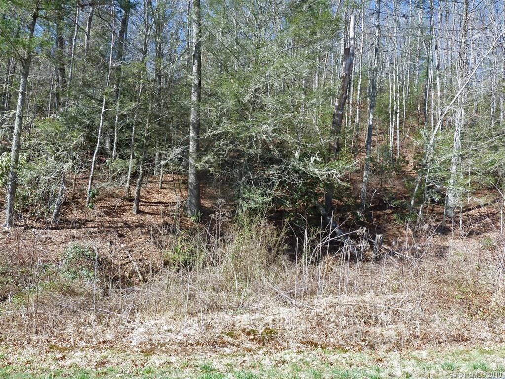 40 Shoal Creek Road, Unit 404142 Balsam Grove, NC 28708 - Photo 7 of 28 Gallery Image 7