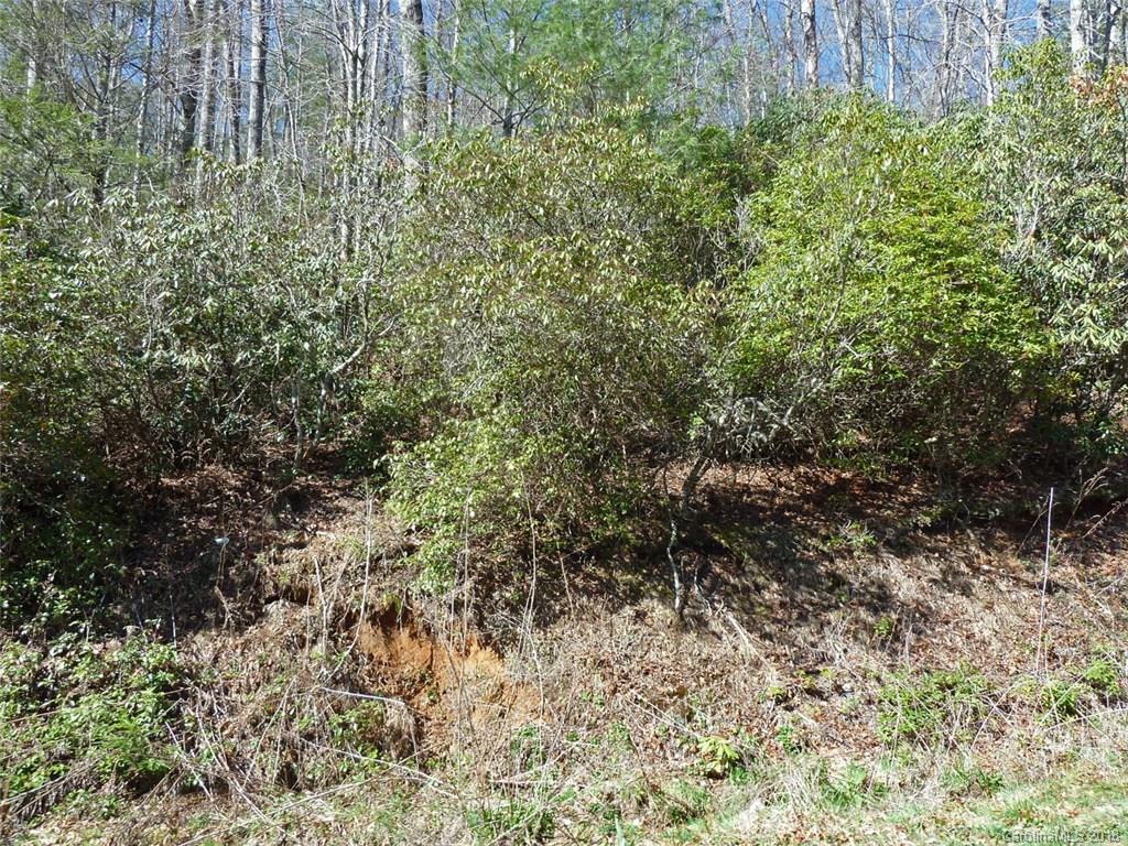 40 Shoal Creek Road, Unit 404142 Balsam Grove, NC 28708 - Photo 8 of 28 Gallery Image 8