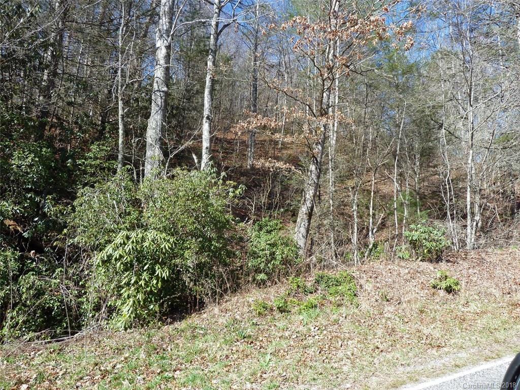 40 Shoal Creek Road, Unit 404142 Balsam Grove, NC 28708 - Photo 10 of 28 Gallery Image 10