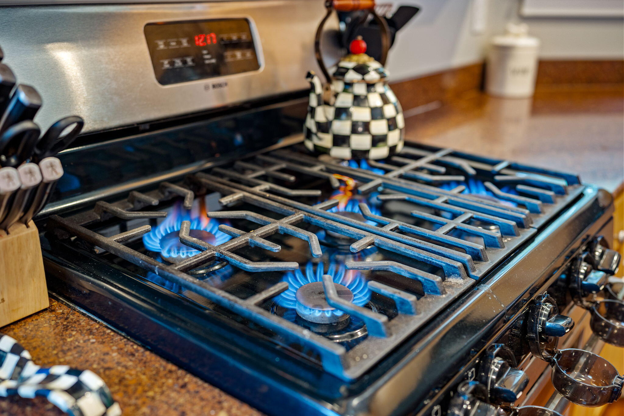 1776 Manassas Drive Charleston, SC 29414 - Photo 21 of 70 22-web-or-mls-Barclay Media Co_-27