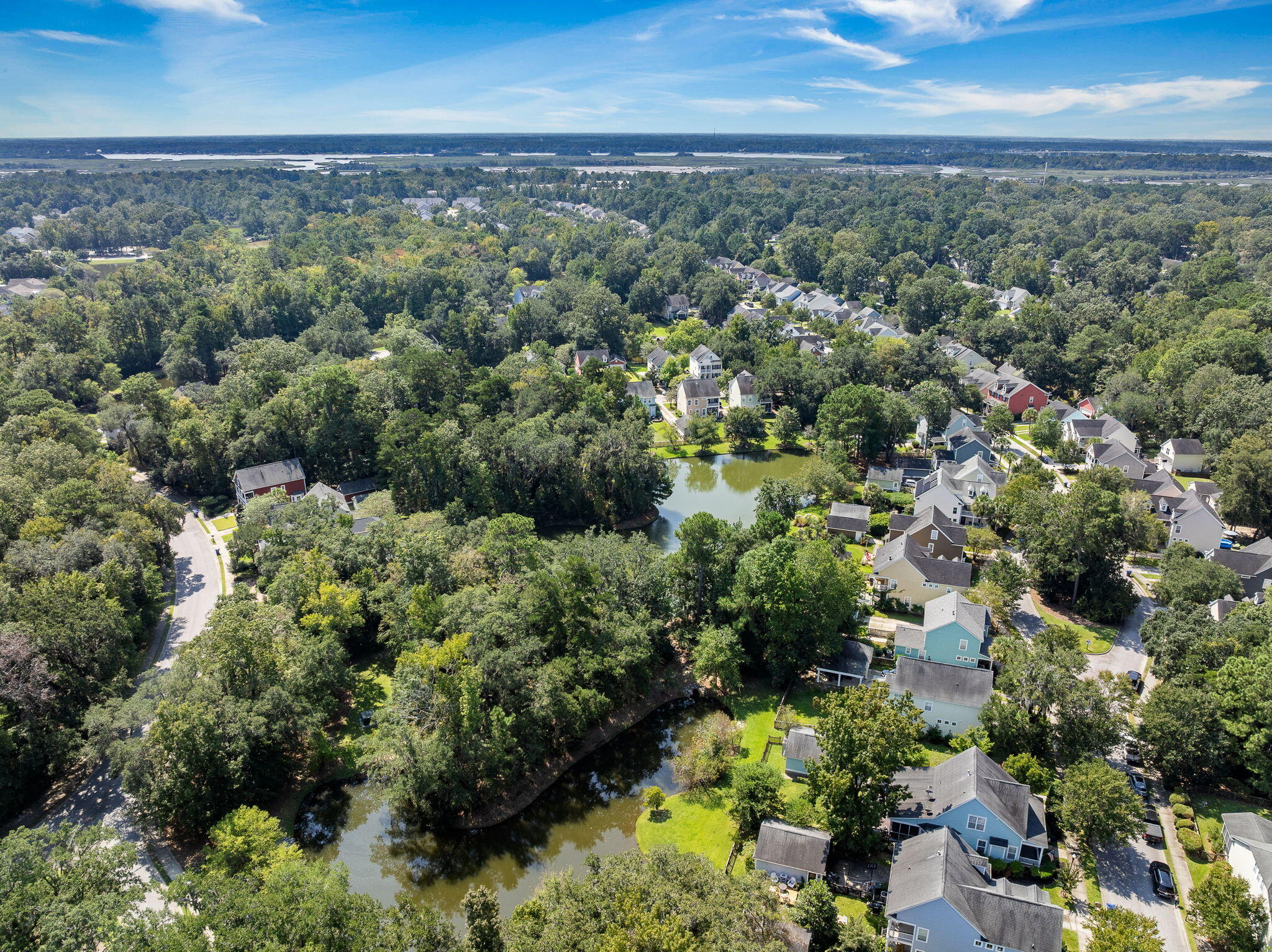 1776 Manassas Drive Charleston, SC 29414 - Photo 50 of 70 55-web-or-mls-Barclay Media Co_-55