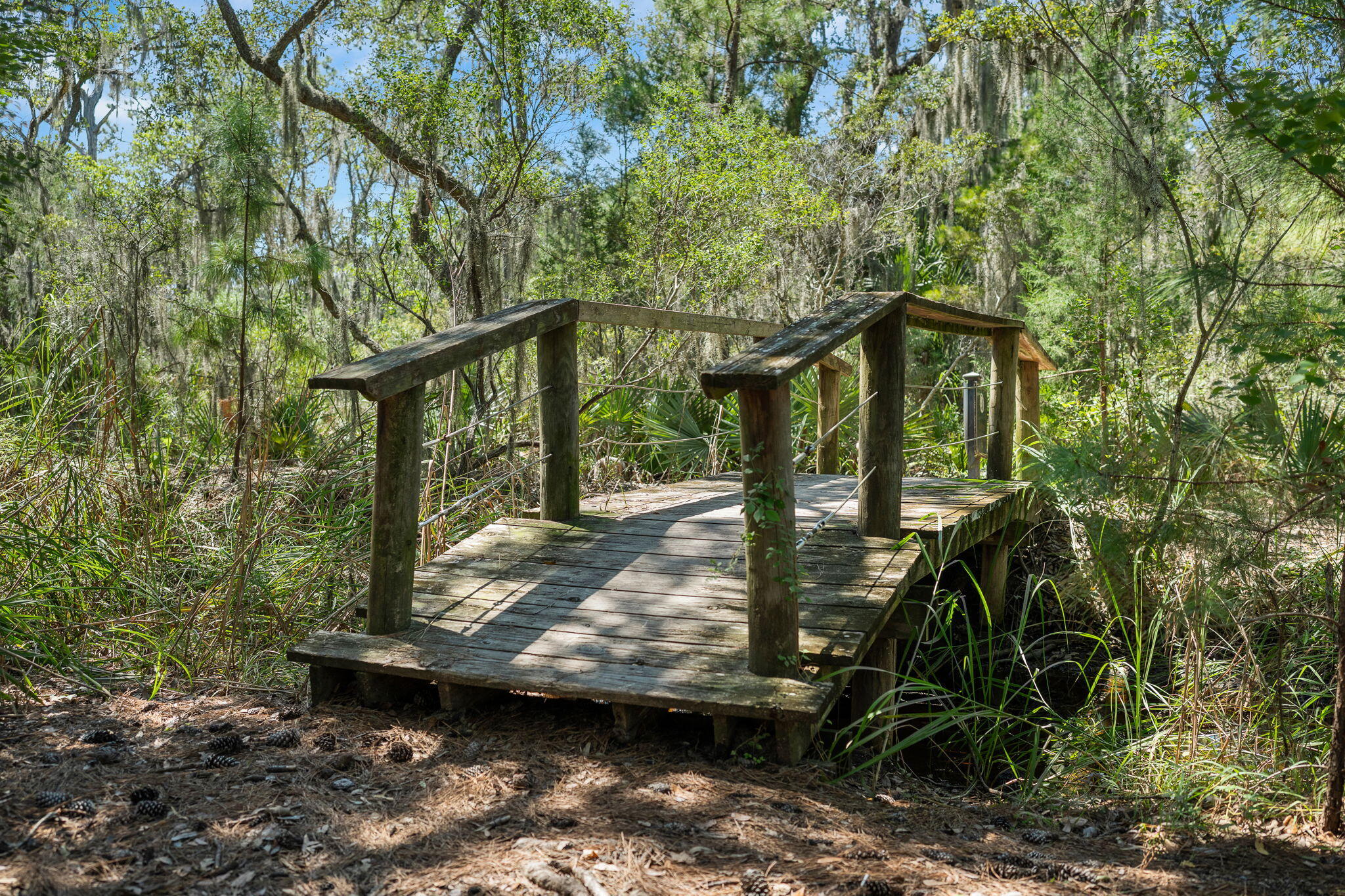 1776 Manassas Drive Charleston, SC 29414 - Photo 65 of 70 77-web-or-mls-Barclay Media Co_-18 (2)