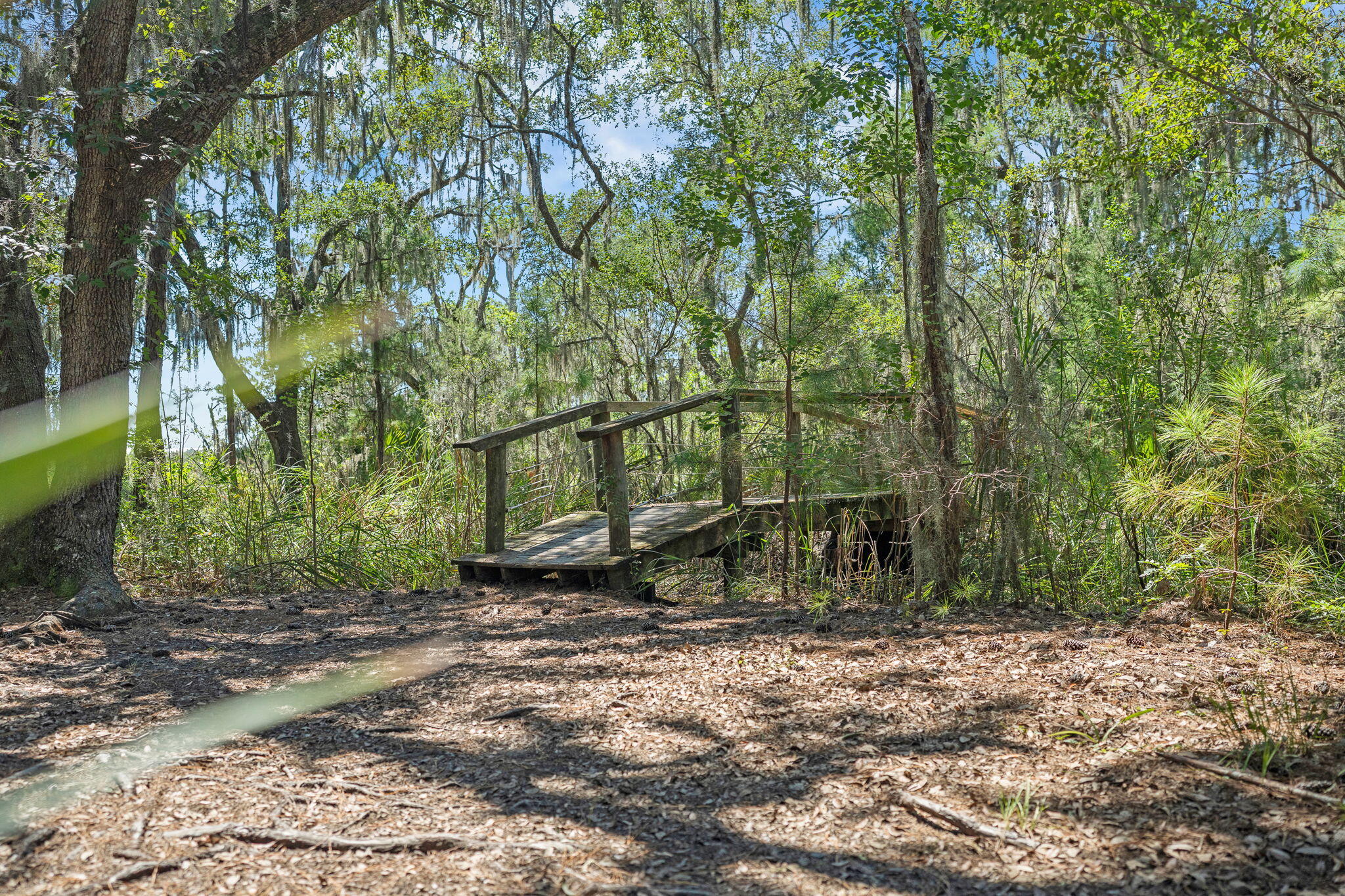1776 Manassas Drive Charleston, SC 29414 - Photo 67 of 70 79-web-or-mls-Barclay Media Co_-20 (2)