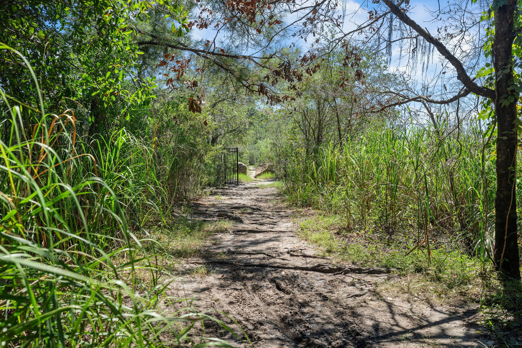 1776 Manassas Drive Charleston, SC 29414 - Photo 68 of 70 80-web-or-mls-Barclay Media Co_-21 (2)
