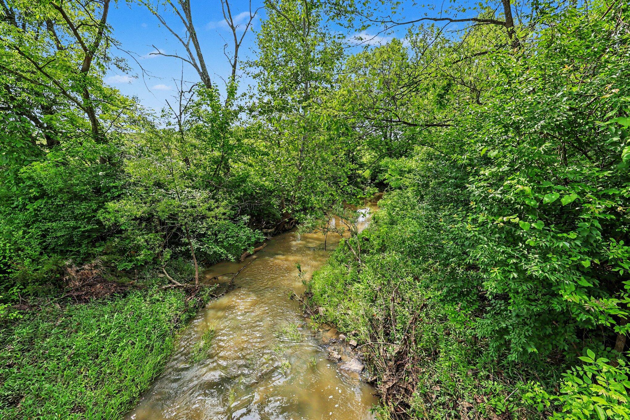 159 & Grimes Road Falmouth, KY 41040 - Photo 10 of 22