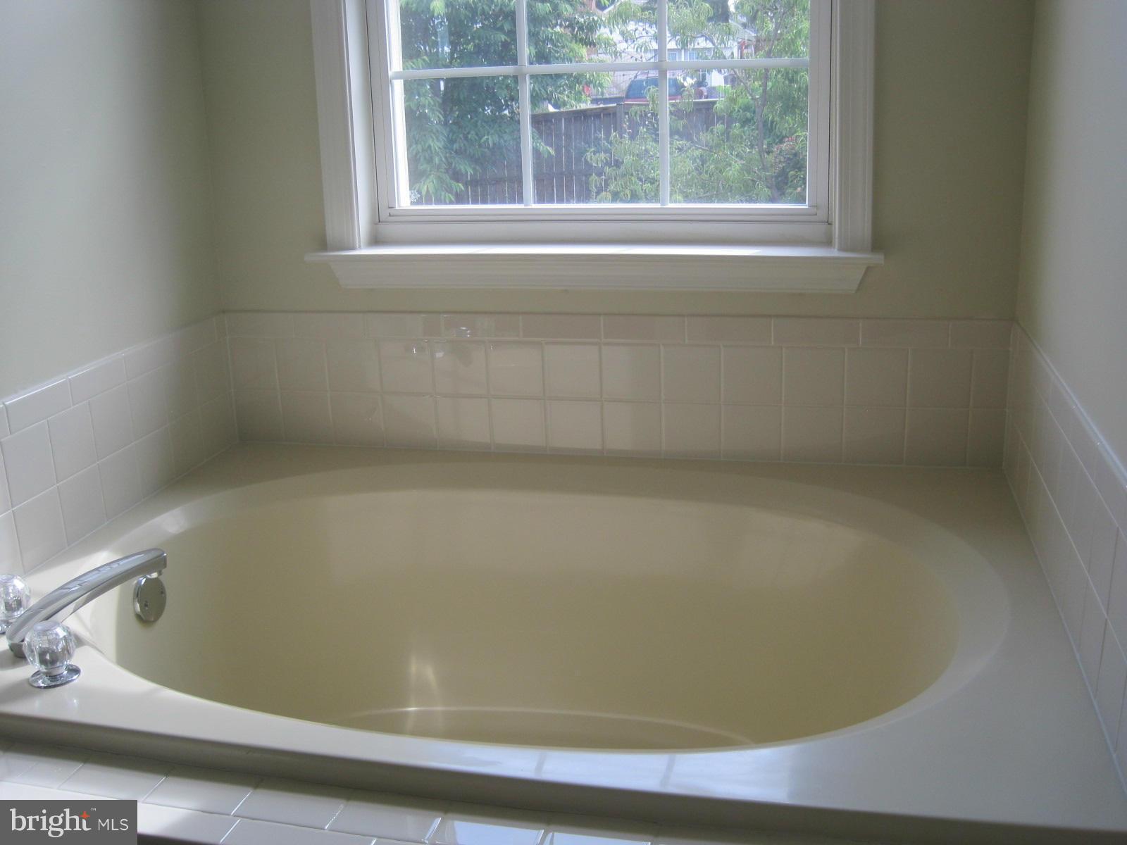 172 Ranson Estates Circle Ranson, WV 25438 - Photo 11 of 22 Soaking Tub in Master Bath