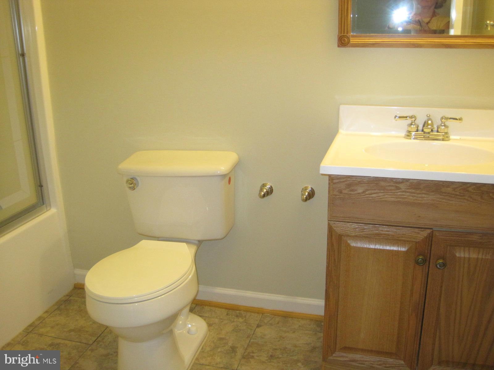 172 Ranson Estates Circle Ranson, WV 25438 - Photo 16 of 22 Lower Level Bath