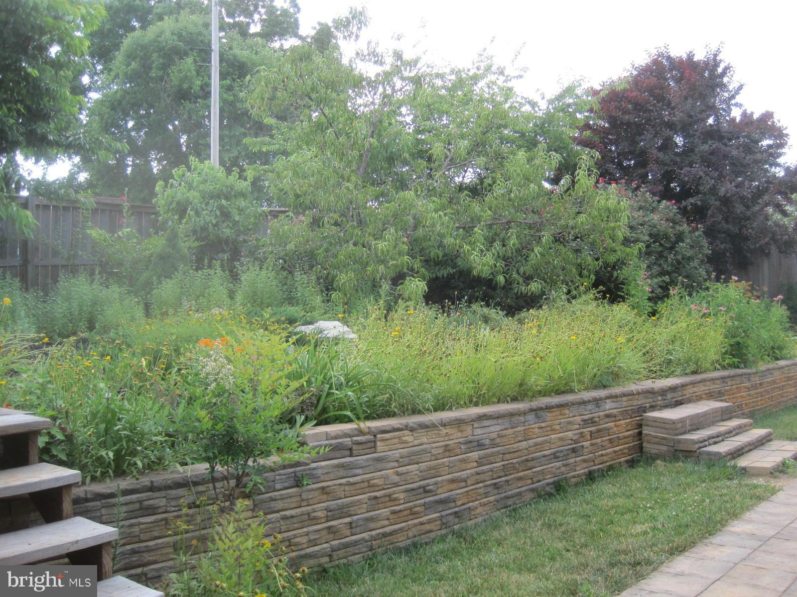 172 Ranson Estates Circle Ranson, WV 25438 - Photo 21 of 22 Backyard with Nice Landscaping