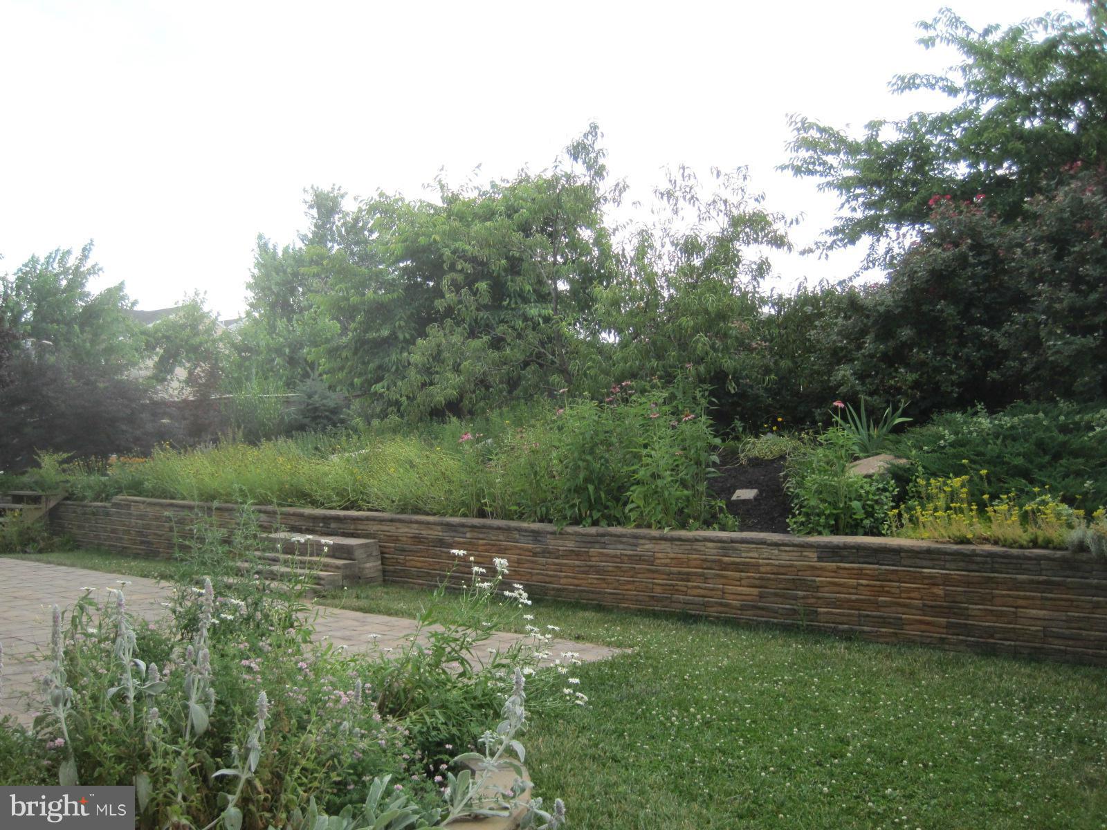 172 Ranson Estates Circle Ranson, WV 25438 - Photo 22 of 22 View of Backyard from Patio