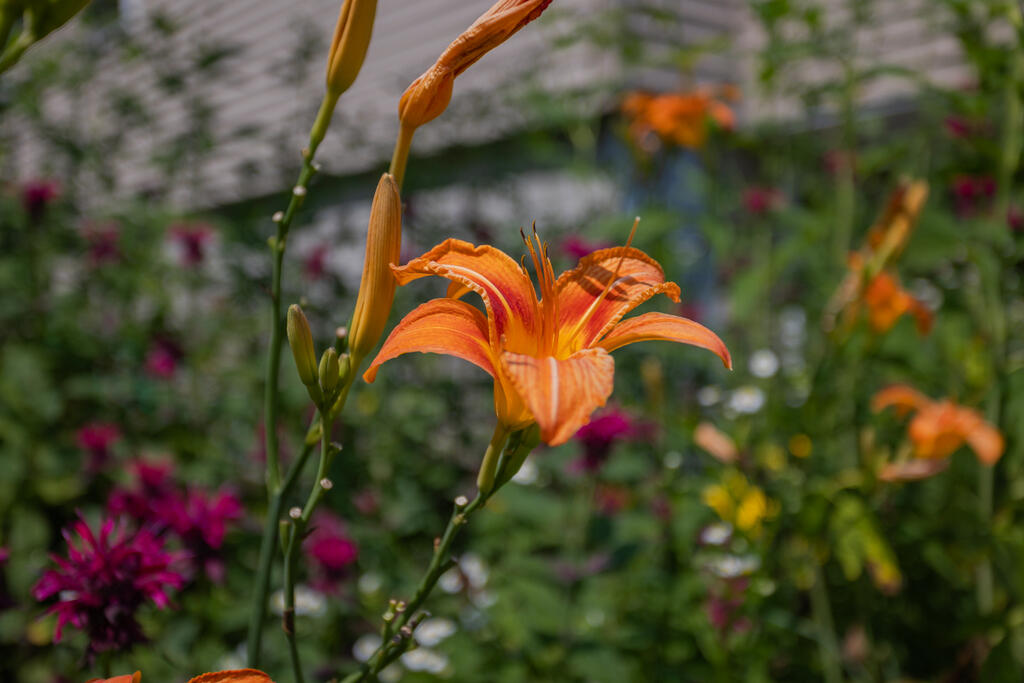 256 Temple Road Wilton, ME 04294 - Photo 113 of 125 taylor-kaminsky-photo-69