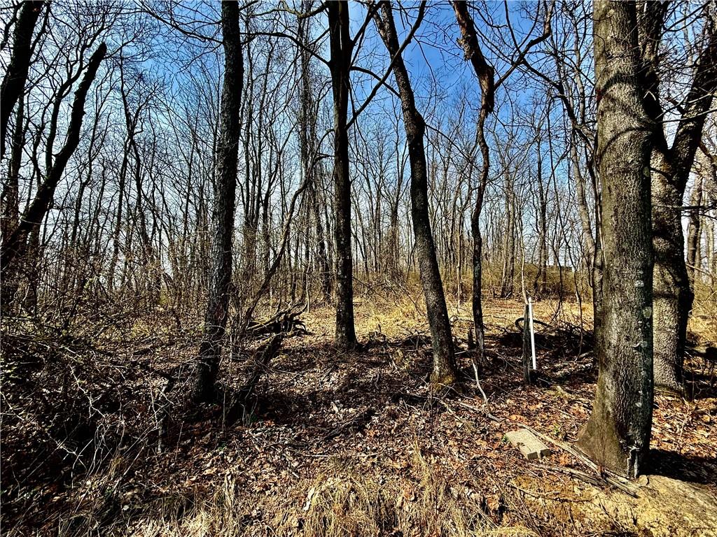 781 McClane Farm Road Washington, PA 15301 - Photo 11 of 40