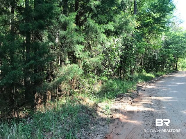 0 Oak Grove Road Eight Mile, AL 36613 - Photo 3 of 6