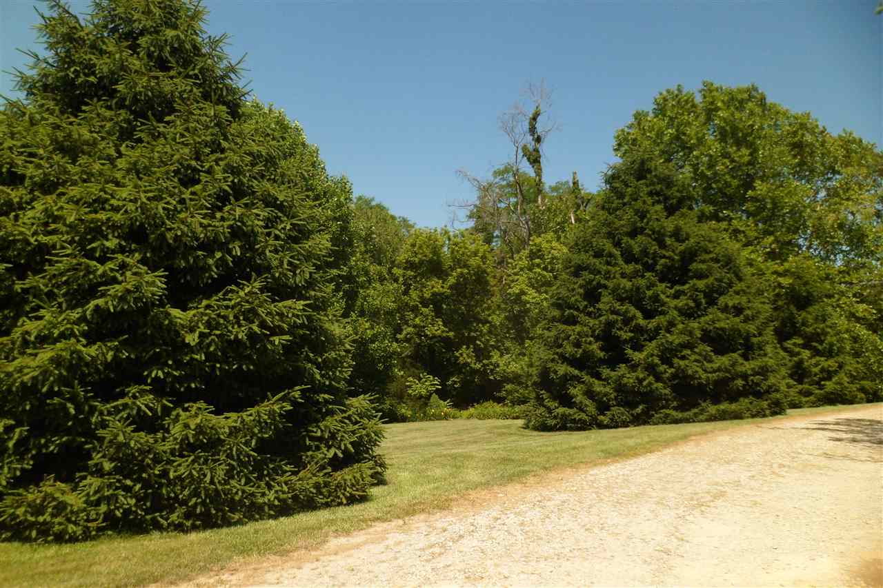 1721 North St Road Bloomfield, IN 47424 - Photo 3 of 7