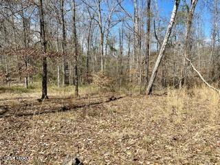 561 Bethlehem Church Road Gordon, GA 31031 - Photo 34 of 39 Bethlehem 30