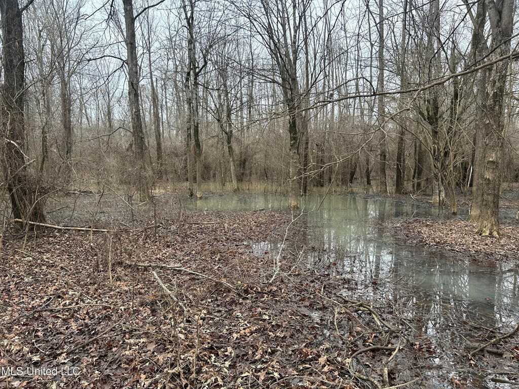 0 Campbell Swamp Road Vicksburg, MS 39180 - Photo 12 of 44 Photo 12