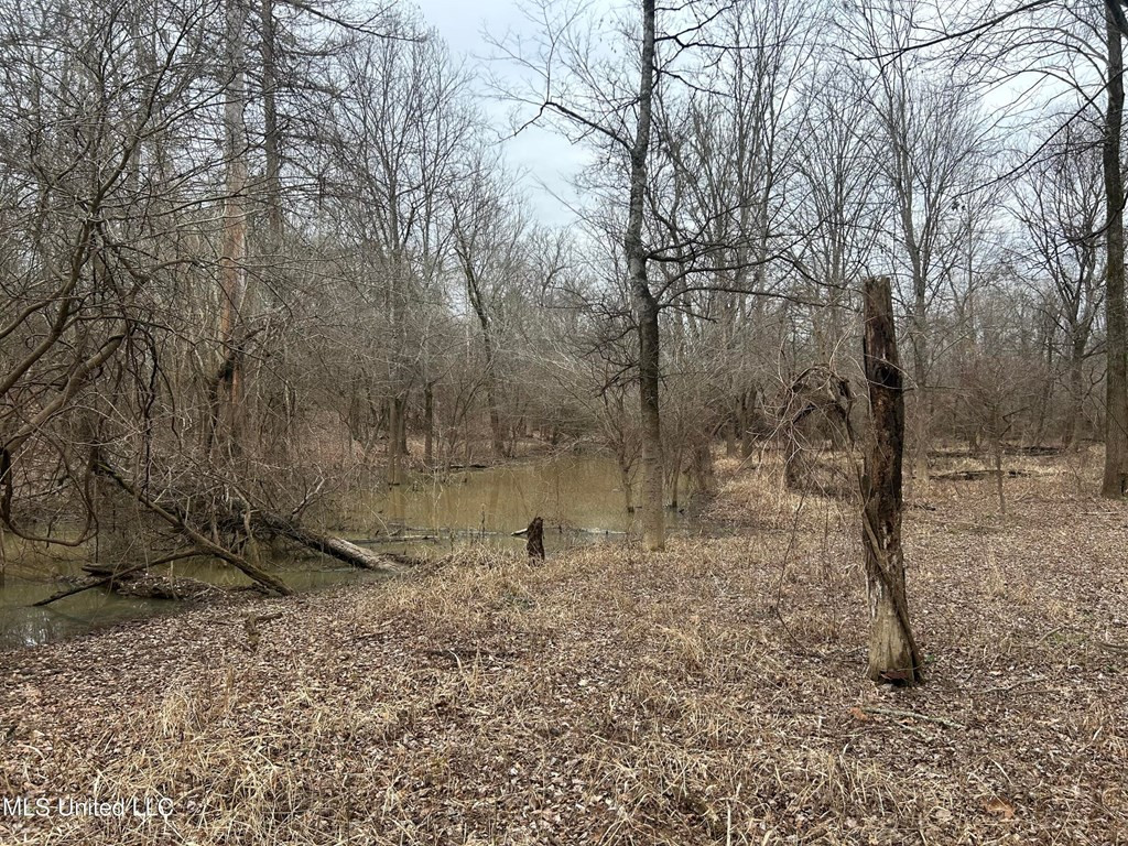 0 Campbell Swamp Road Vicksburg, MS 39180 - Photo 13 of 44 Photo 13