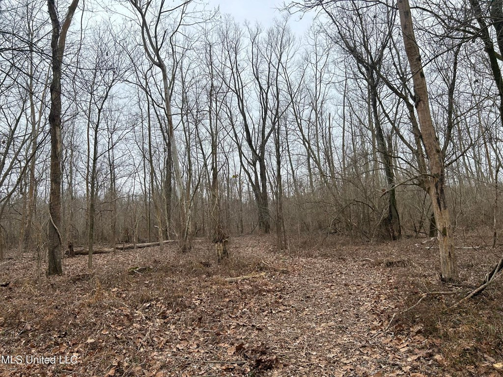 0 Campbell Swamp Road Vicksburg, MS 39180 - Photo 16 of 44 Photo 16