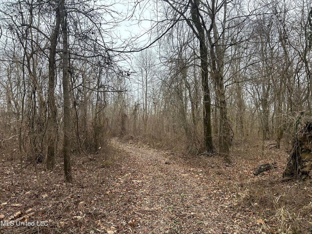 0 Campbell Swamp Road Vicksburg, MS 39180 - Photo 18 of 44 Photo 18