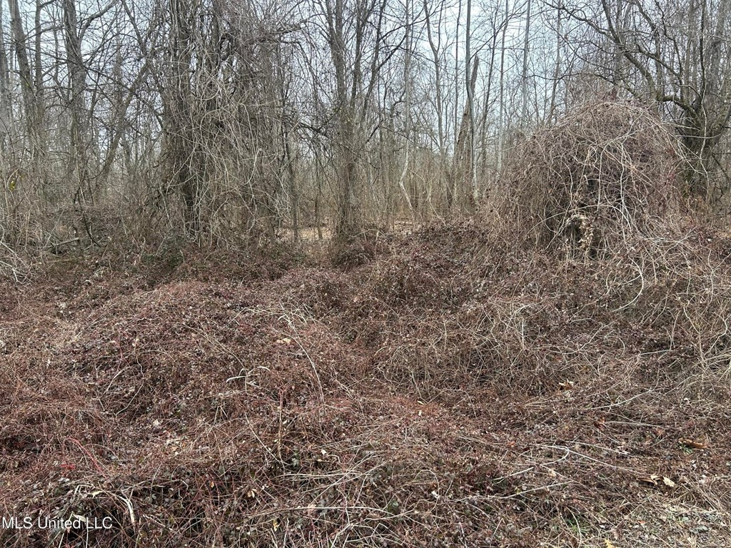 0 Campbell Swamp Road Vicksburg, MS 39180 - Photo 20 of 44 Photo 20