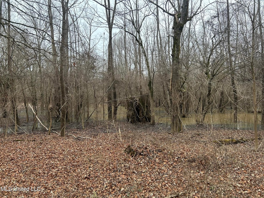 0 Campbell Swamp Road Vicksburg, MS 39180 - Photo 23 of 44 Photo 23